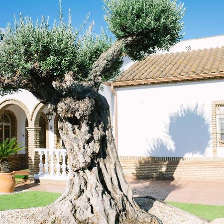 Gasthaus Casa Luxury "El Olivo De Cordoba" Con Jacuzzi Y Parking Privado Exterior foto